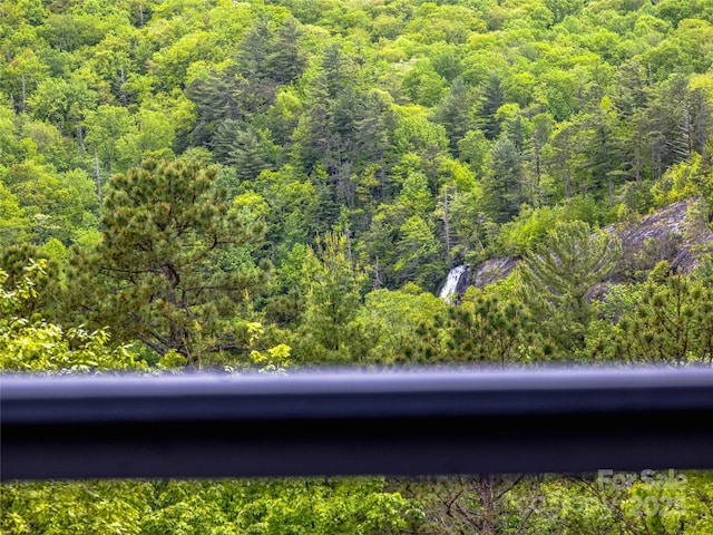 399 Toxaway Ct, Lake Toxaway, NC 28747 - exterior view of a heavily wooded area