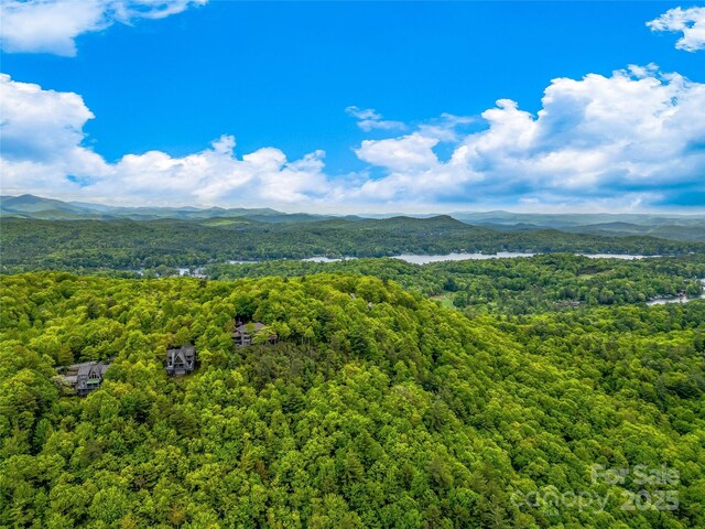 399 Toxaway Ct, Lake Toxaway, NC 28747 - view of mountain background with a forest