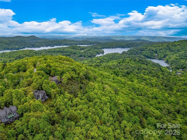 399 Toxaway Ct, Lake Toxaway, NC 28747 - drone / aerial view of a forest and a water and mountain view