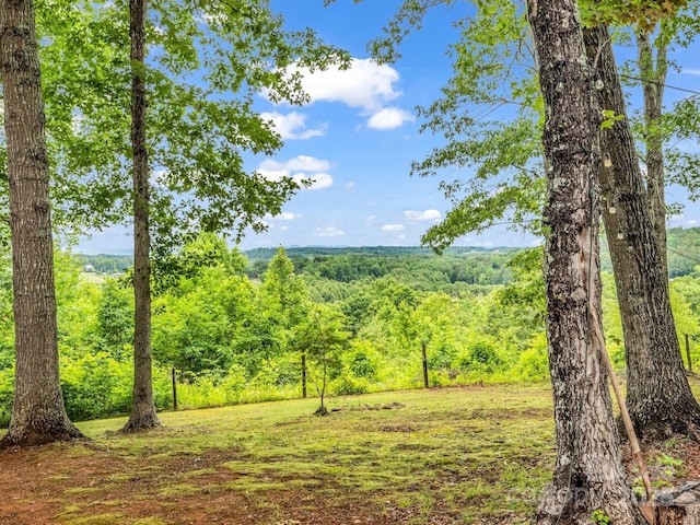 321 River Ridge Parkway, Rutherfordton, NC 28139 - view of woods