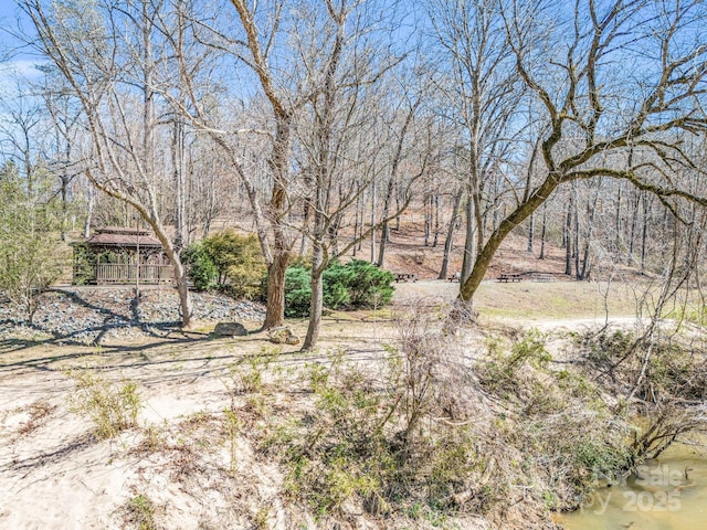 321 River Ridge Parkway, Rutherfordton, NC 28139 - view of yard