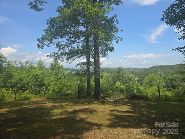 321 River Ridge Parkway, Rutherfordton, NC 28139 - photo 38