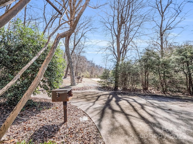 321 River Ridge Parkway, Rutherfordton, NC 28139 - photo 48