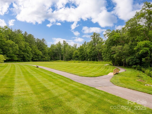 502 Spanish Oak Ln, Hendersonville, NC 28791 - photo 31