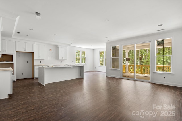 4315 Palm Dr, Denver, NC 28037 - unfurnished living room with dark wood-style flooring and baseboards