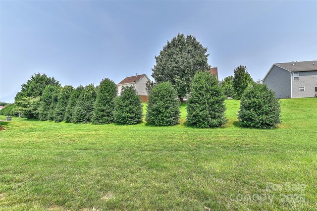1890 Sandal Brook Rd, Fort Mill, SC 29707 - view of green lawn