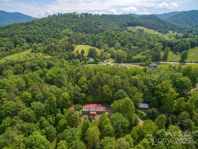 30 Wagon Mountain Dr, Weaverville, NC 28787 - bird's eye view of a forest and a mountainous background