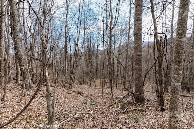 9 Chandra Ln, Clyde, NC 28721