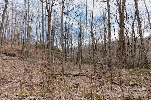 9 Chandra Ln, Clyde, NC 28721