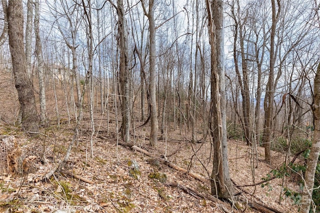 9 Chandra Ln, Clyde, NC 28721