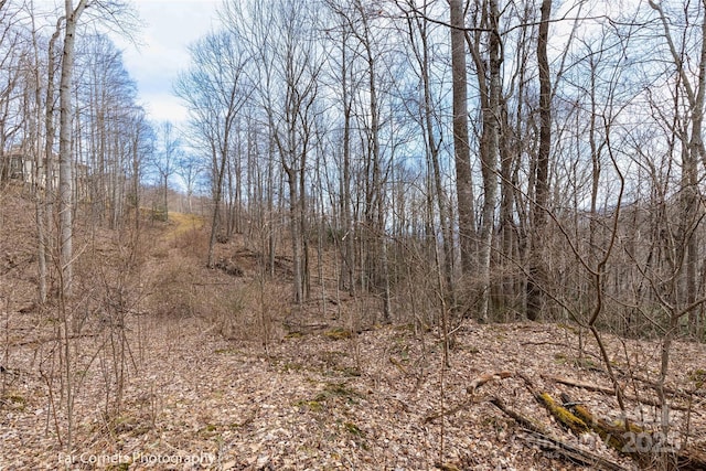 9 Chandra Ln, Clyde, NC 28721