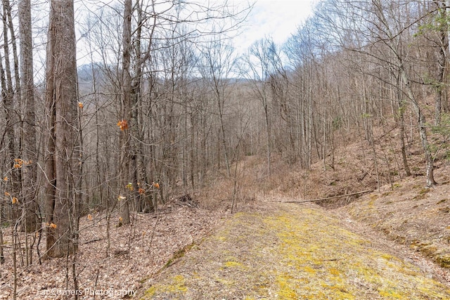 9 Chandra Ln, Clyde, NC 28721