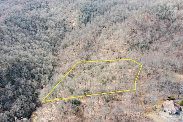 9 Chandra Ln, Clyde, NC 28721