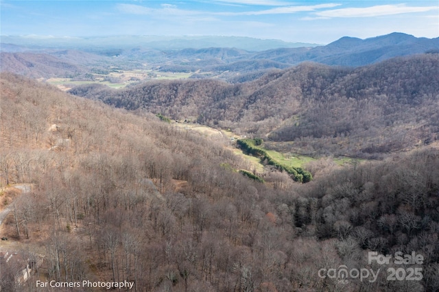 9 Chandra Ln, Clyde, NC 28721