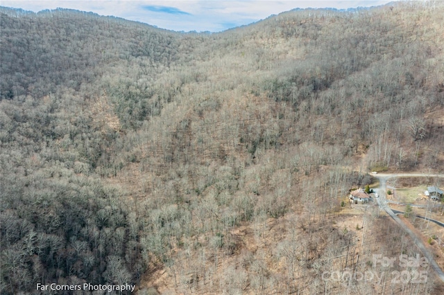 9 Chandra Ln, Clyde, NC 28721