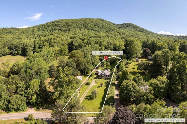 223 Smith Cove Rd, Candler, NC 28715 - aerial overview of property's location with a heavily wooded area, property parcel outlined, and a mountain backdrop