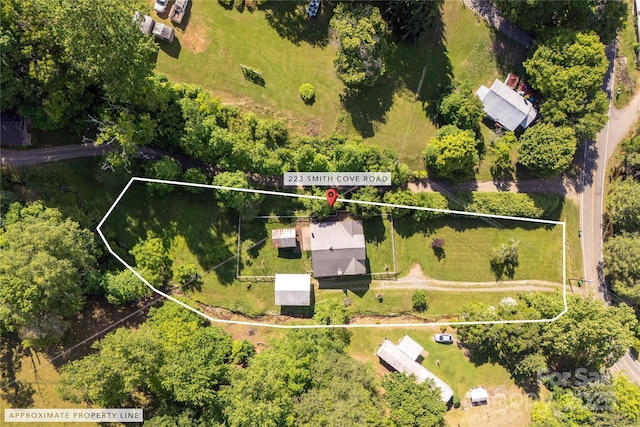 223 Smith Cove Rd, Candler, NC 28715 - view of property location with property parcel outlined