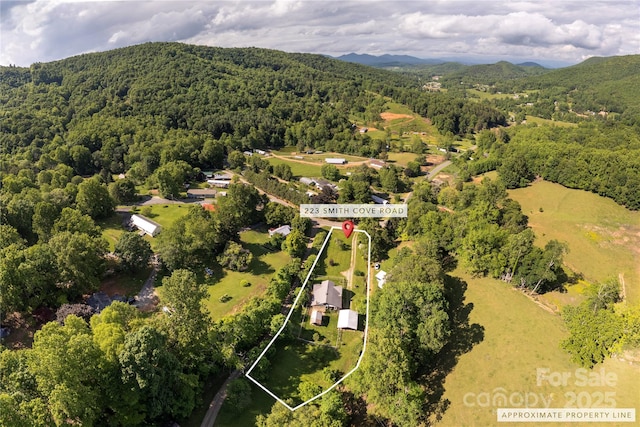 223 Smith Cove Rd, Candler, NC 28715 - aerial view of property's location featuring a heavily wooded area, property parcel outlined, and mountains