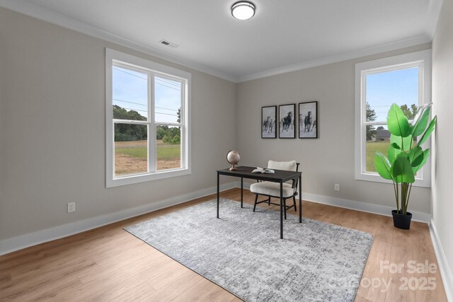 4949 Rimer Rd Unit 4, Concord, NC 28025 - home office featuring crown molding, plenty of natural light, baseboards, and light wood-style floors