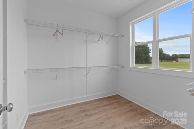 4949 Rimer Rd Unit 4, Concord, NC 28025 - walk in closet with light wood-style floors
