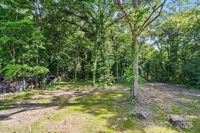 251 Hall Ave NW, Concord, NC 28027 - view of tree filled area