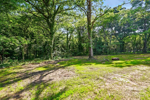 251 Hall Ave NW, Concord, NC 28027 - view of tree filled area