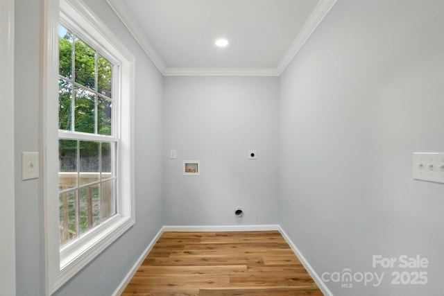 251 Hall Ave NW, Concord, NC 28027 - washroom with hookup for an electric dryer, washer hookup, ornamental molding, light wood-style floors, and baseboards