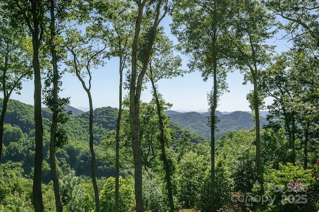 mountain view featuring a forest