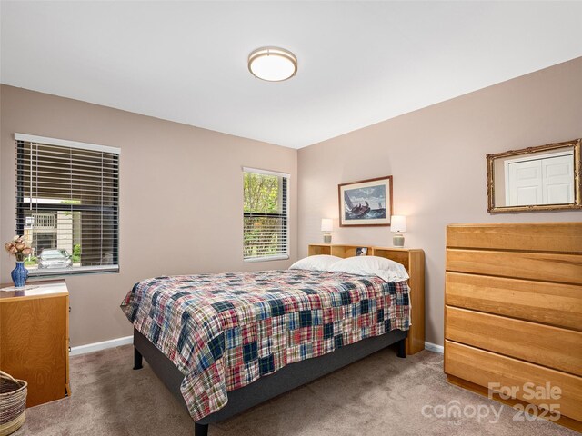 304 Abbey Cir, Asheville, NC 28805 - photo 13