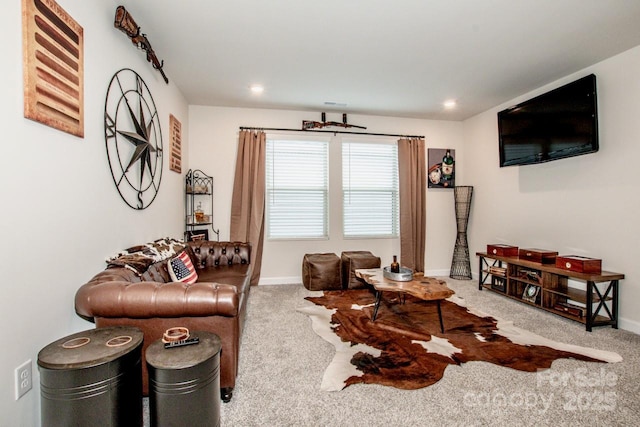 11951 Old Statesville Rd, Huntersville, NC 28078 - carpeted living area with baseboards and recessed lighting