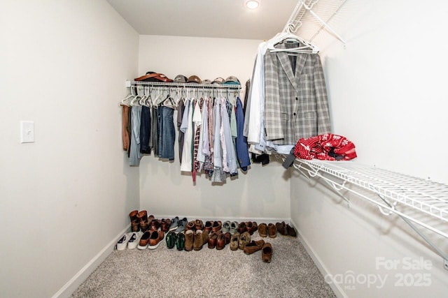 11951 Old Statesville Rd, Huntersville, NC 28078 - walk in closet with carpet