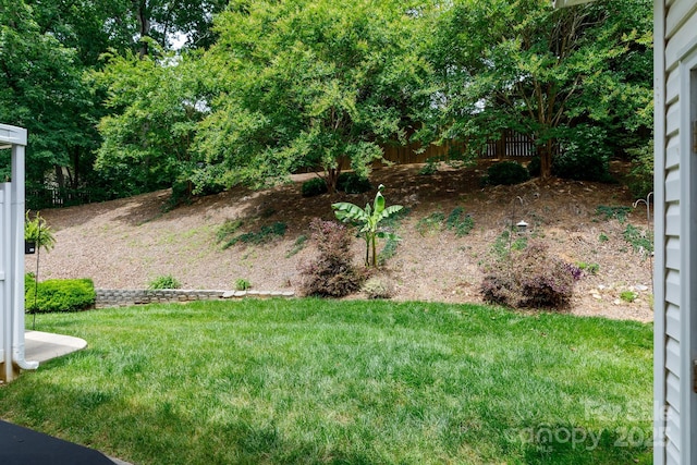 556 Knighton Hill Rd, Rock Hill, SC 29732 - view of yard