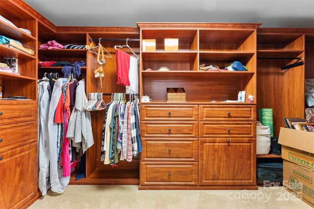 6300 Latta Springs Cir, Huntersville, NC 28078 - spacious closet featuring carpet