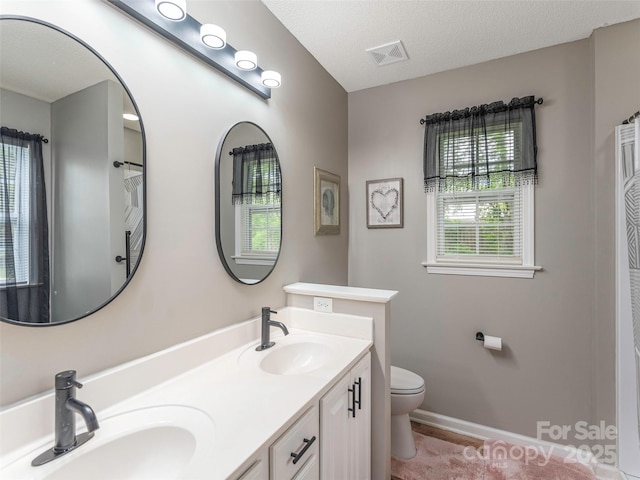 379 Running Briar Rd, Fletcher, NC 28732 - bathroom with toilet, double vanity, baseboards, and a textured ceiling