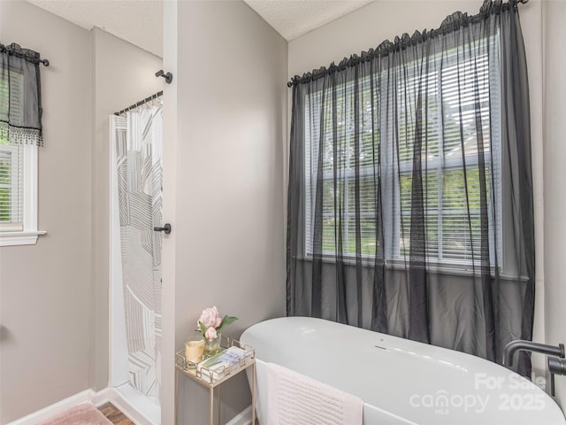 379 Running Briar Rd, Fletcher, NC 28732 - bathroom with healthy amount of natural light, a freestanding tub, baseboards, and a textured ceiling