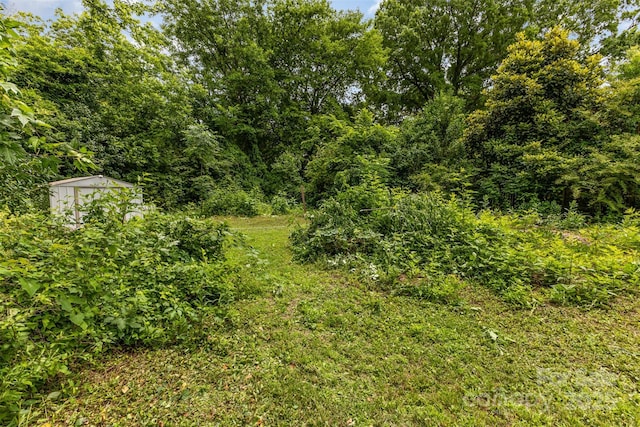 2308 Vanderbilt Rd, Charlotte, NC 28206 - view of woods