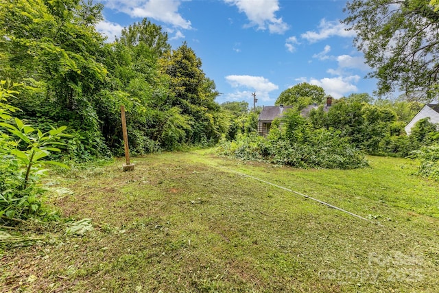 2308 Vanderbilt Rd, Charlotte, NC 28206 - view of yard