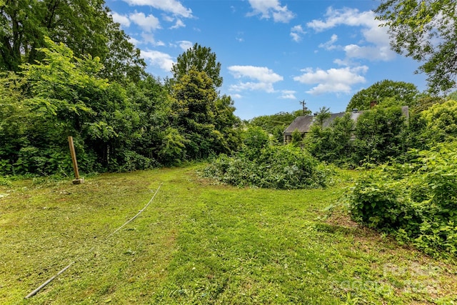 2308 Vanderbilt Rd, Charlotte, NC 28206 - view of yard