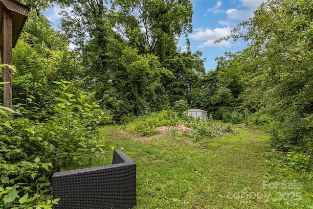 2308 Vanderbilt Rd, Charlotte, NC 28206 - view of yard
