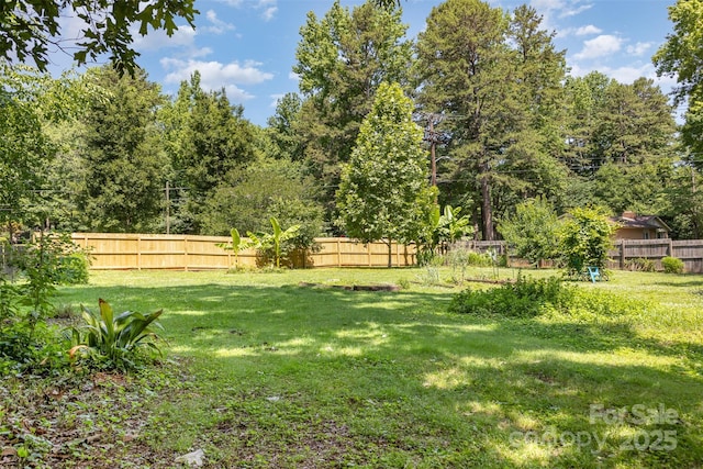 7015 Lavern St, Charlotte, NC 28215 - view of fenced backyard