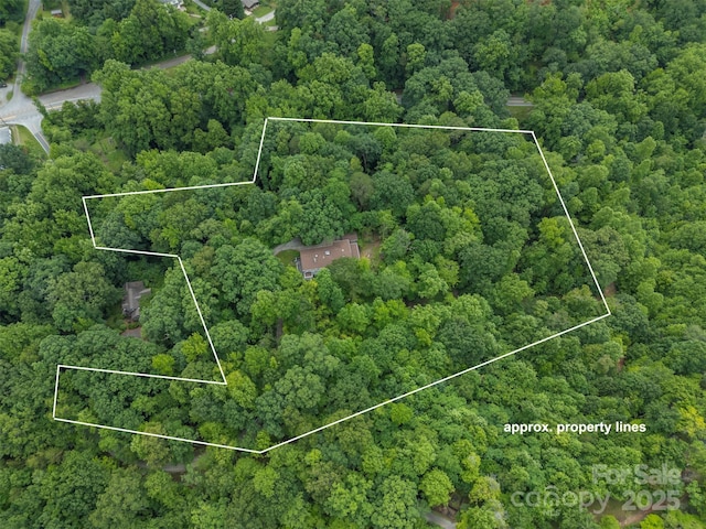 93 Villa Barbara Ln, Tryon, NC 28782 - aerial view of property and surrounding area featuring a forest and property parcel outlined