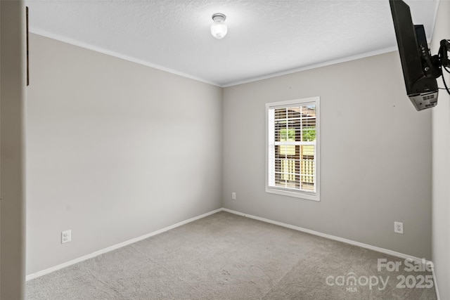 2021 Beamguard Rd, Clover, SC 29710 - spare room with ornamental molding, carpet, a textured ceiling, and baseboards