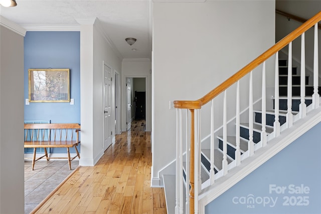 837 California Ave, Marion, NC 28752 - photo 20