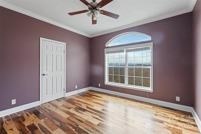 837 California Ave, Marion, NC 28752 - photo 33