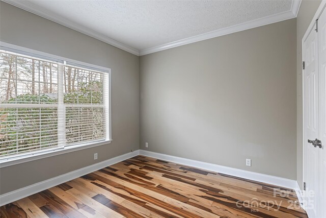 837 California Ave, Marion, NC 28752 - photo 34