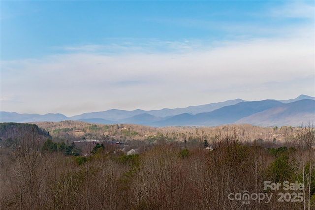 837 California Ave, Marion, NC 28752 - photo 35