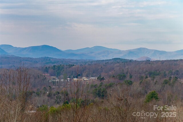 837 California Ave, Marion, NC 28752 - photo 45
