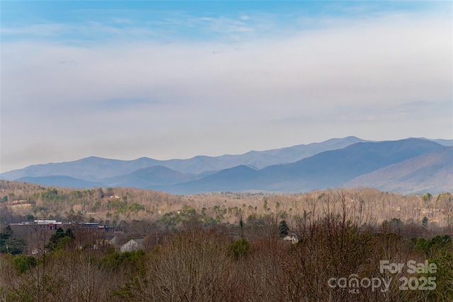 837 California Ave, Marion, NC 28752 - photo 46