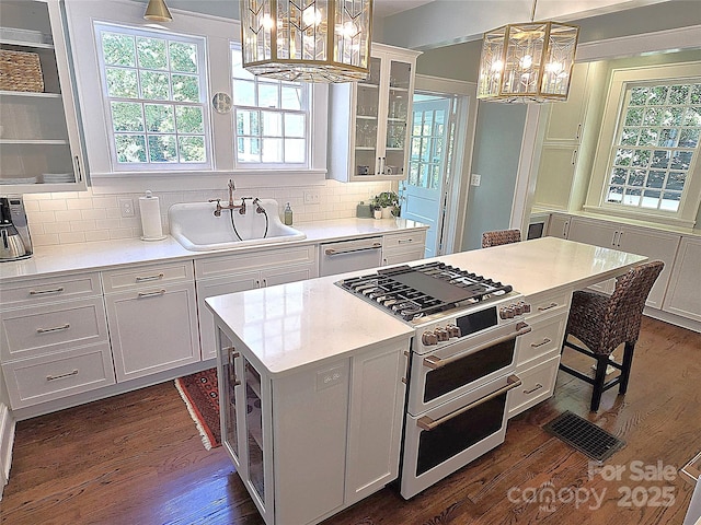 1051 14th Avenue Dr NW, Hickory, NC 28601 - kitchen with a chandelier, appliances with stainless steel finishes, a sink, a center island, and glass insert cabinets