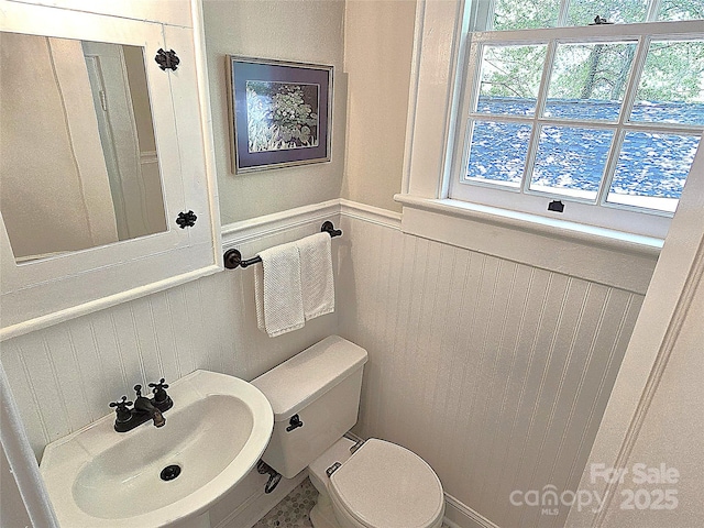 1051 14th Avenue Dr NW, Hickory, NC 28601 - half bathroom with a sink, wainscoting, and toilet